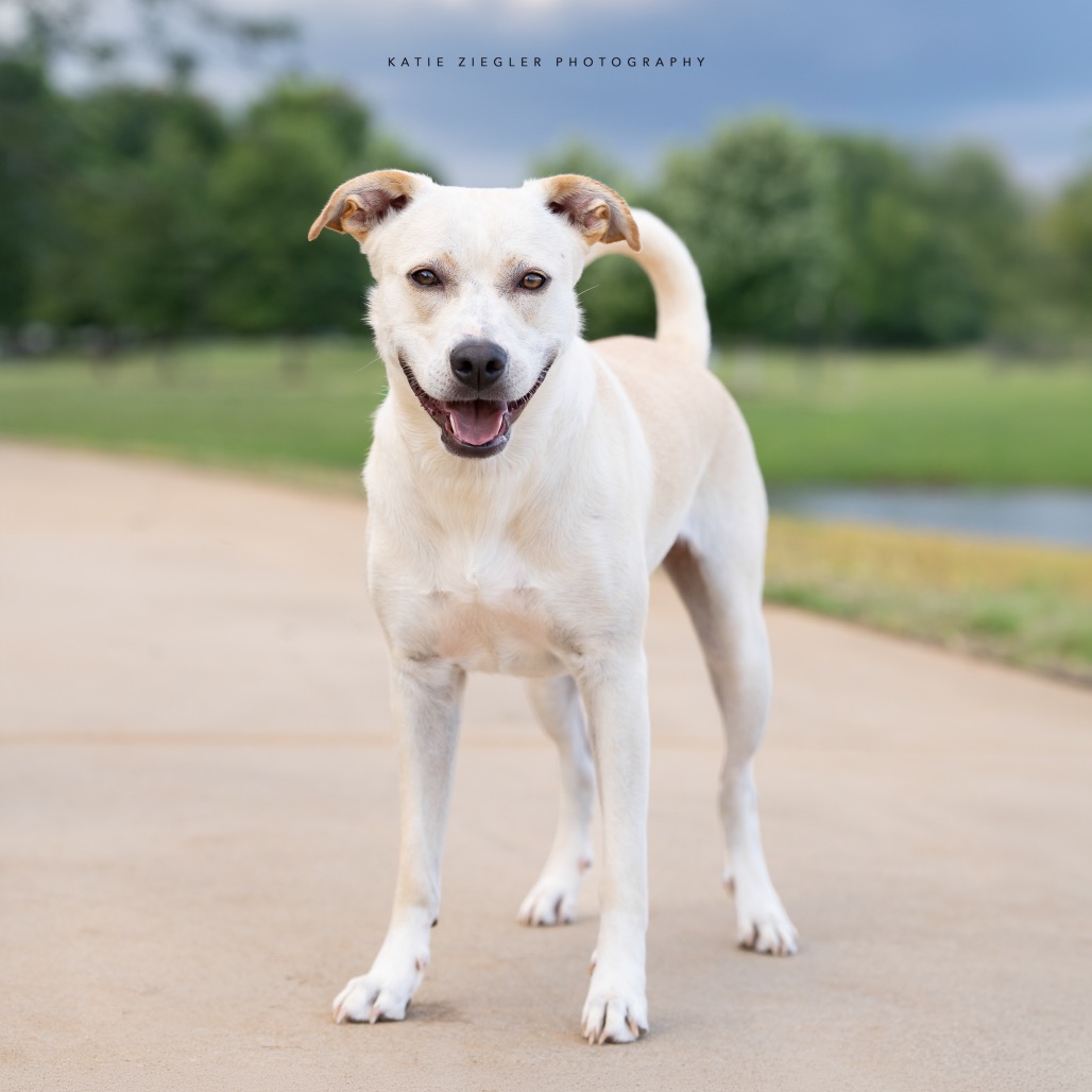 Pearl, photo 9