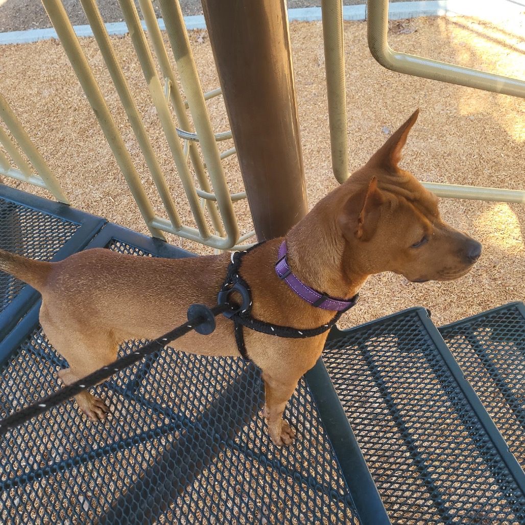 NUTMEG, photo 7