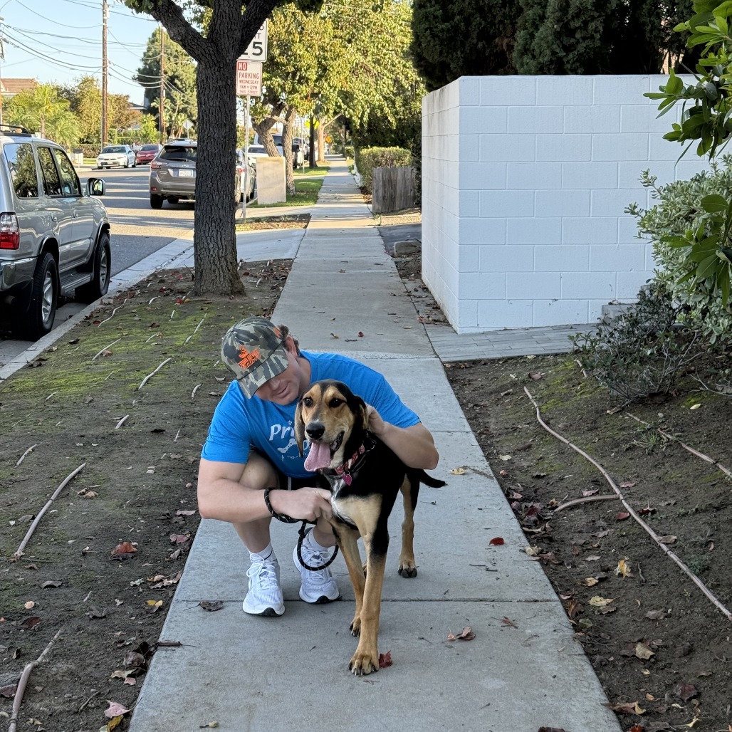 Roo - Costa Mesa Location, photo 10