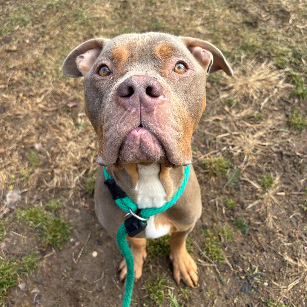 Flynn Ryder — thumbnail 2