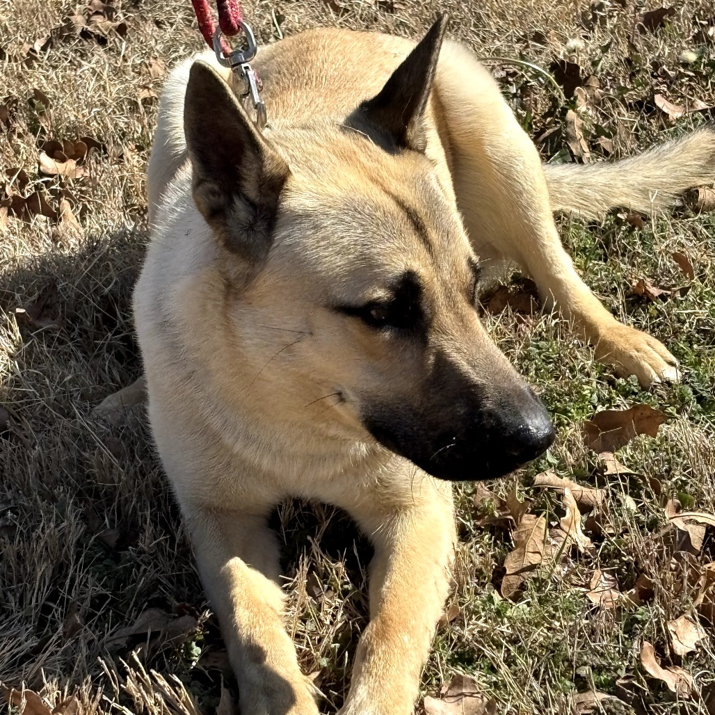 Photo of Colt
