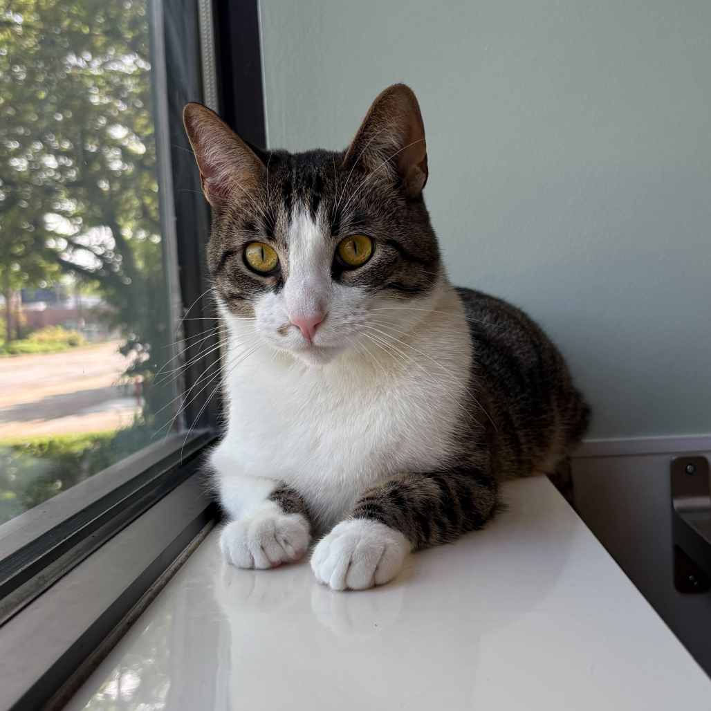 Burt (c2026), photo 11