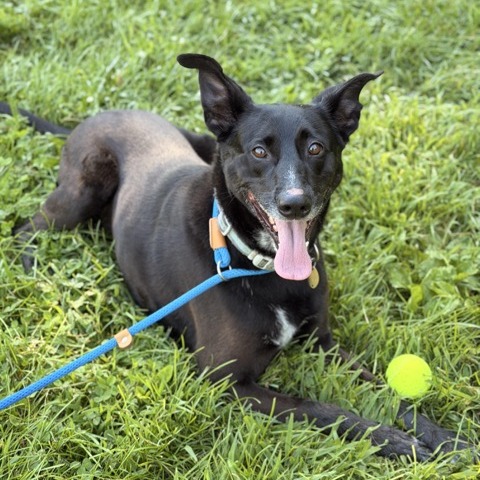 Benny photo 3