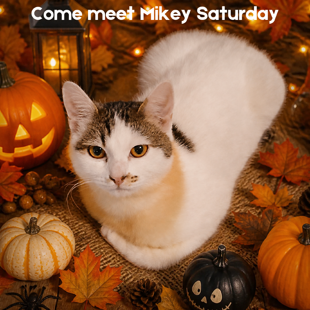 Mikey