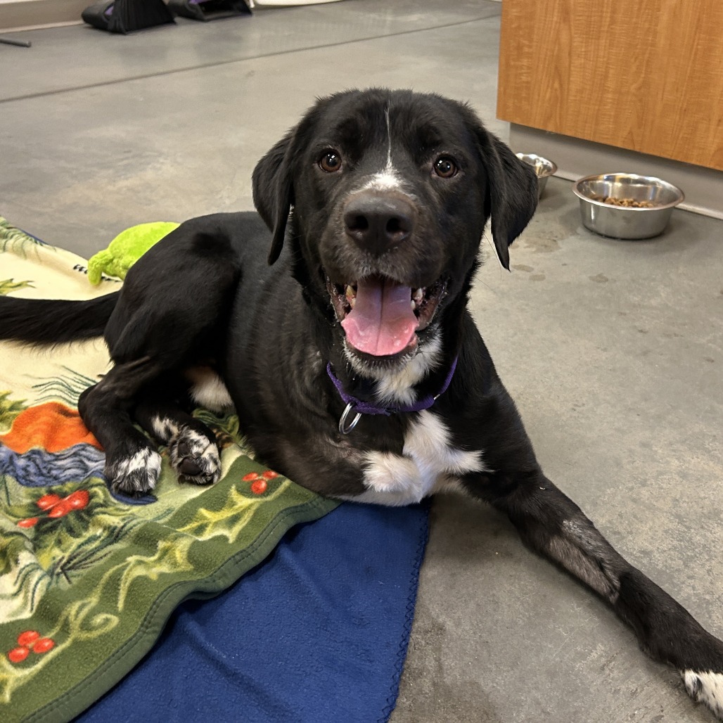 Photo of T.L. Frank 10