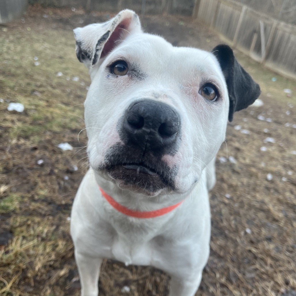 Flaca — thumbnail 11