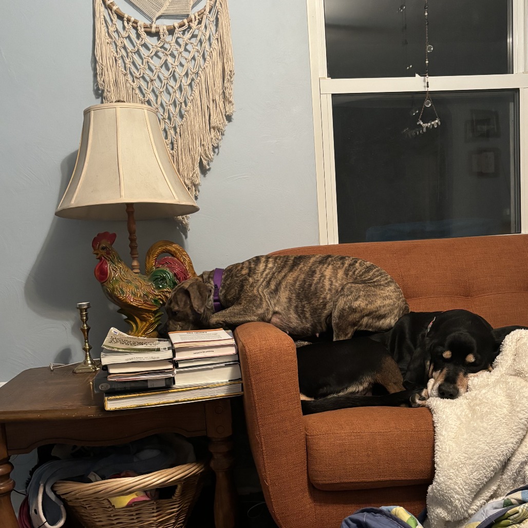 Photo of Baby Stripes 12