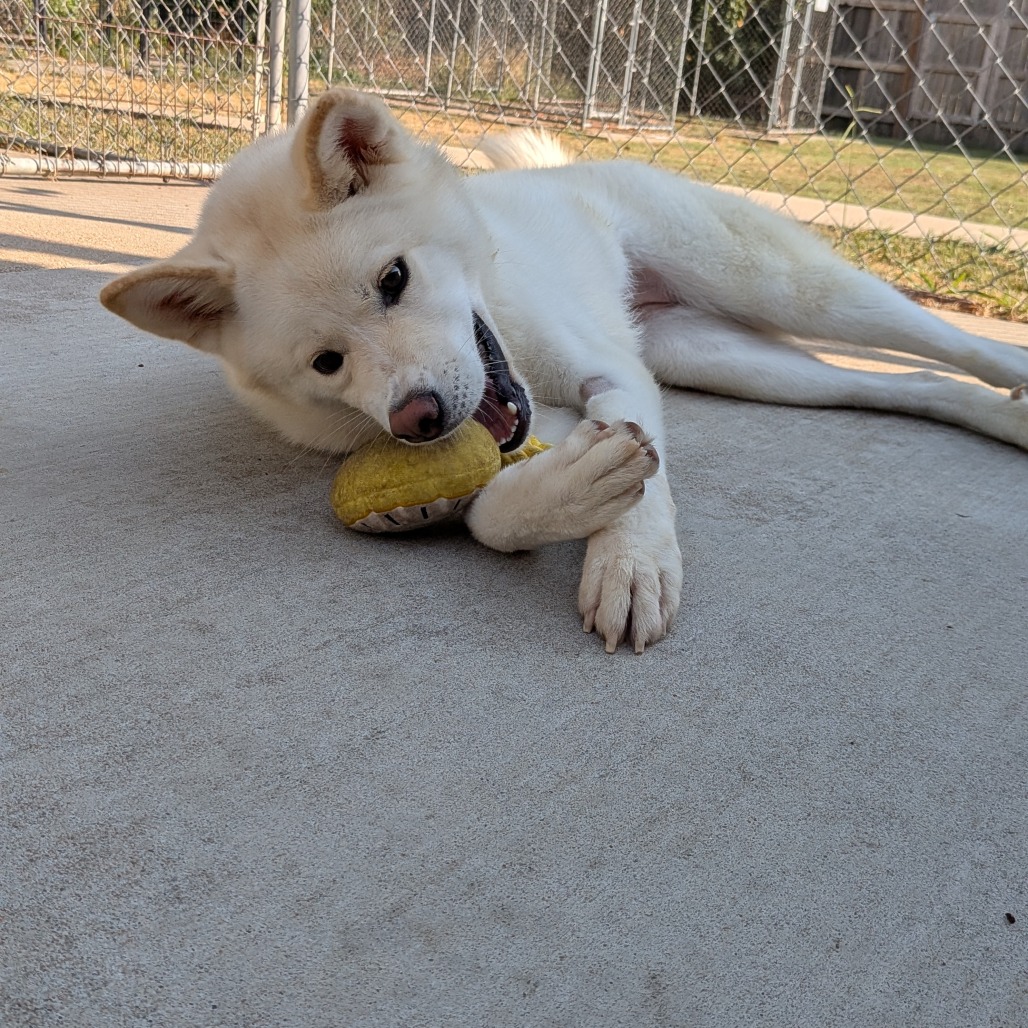 Maggie photo 10