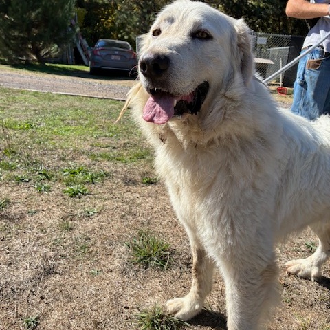 SAMMY, photo 2