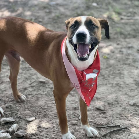 Photo of Tucker (Carlton)