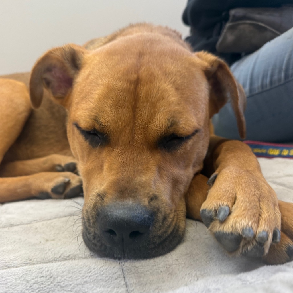 Kali Letty — thumbnail 5