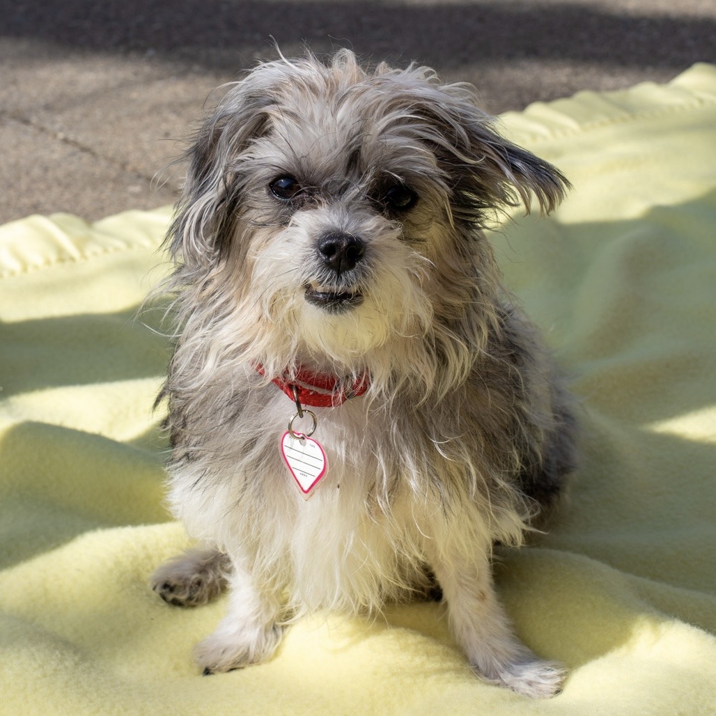 Mia-In Foster-See my Video! — thumbnail 4