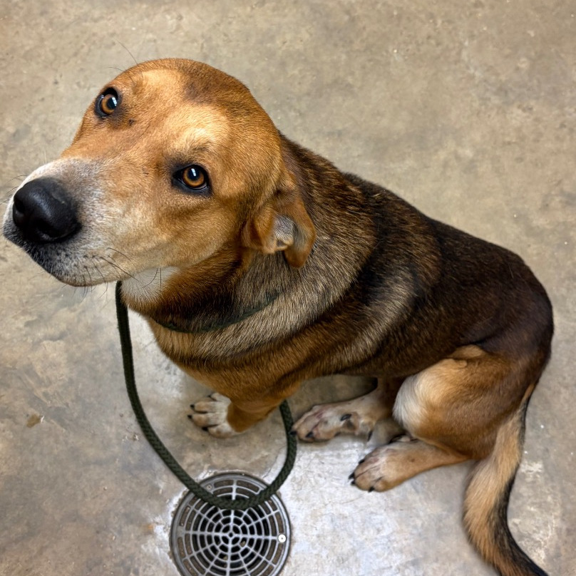 Lenny — thumbnail 8