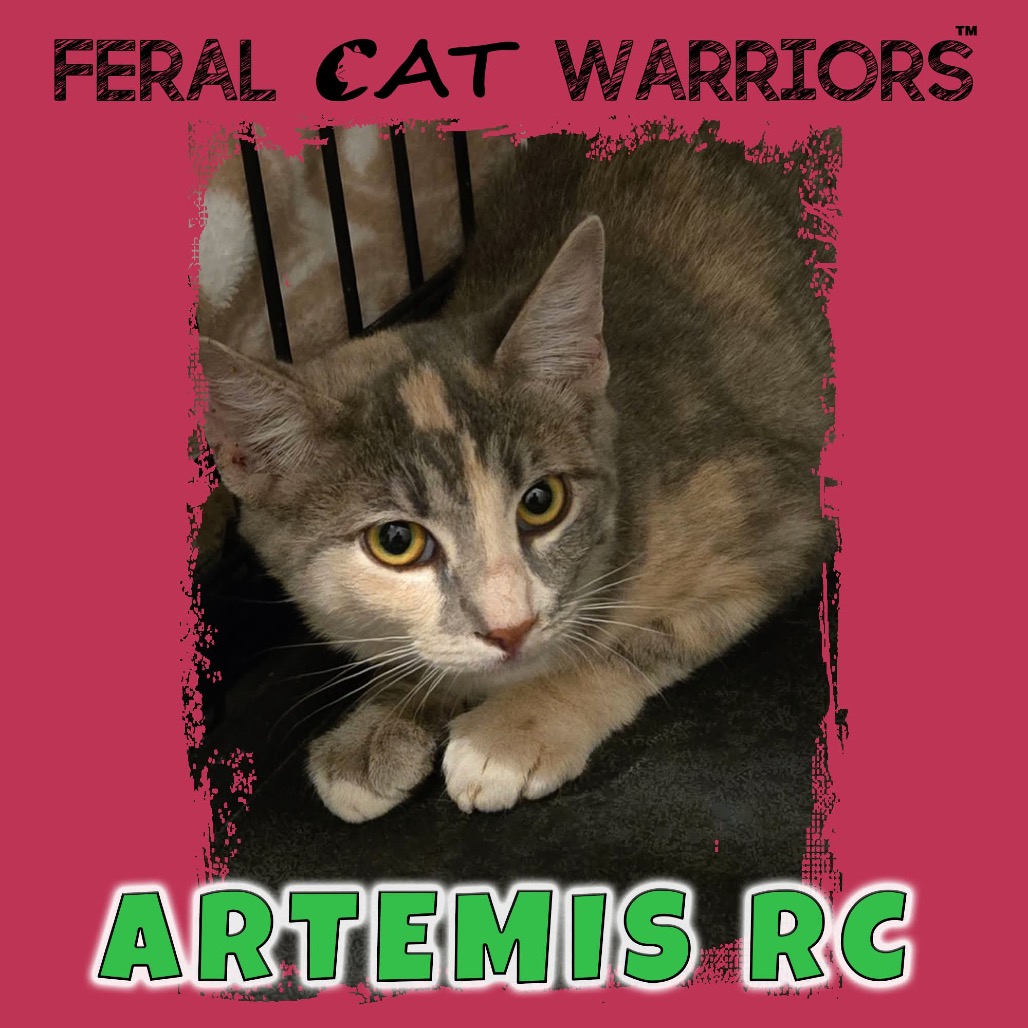 Artemis RC