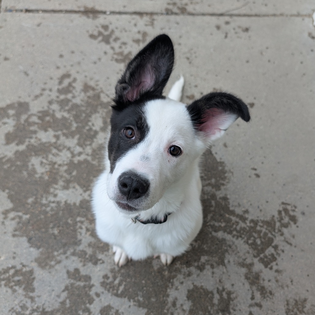 Ramada — thumbnail 5