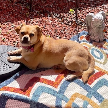 Thelma — thumbnail 2