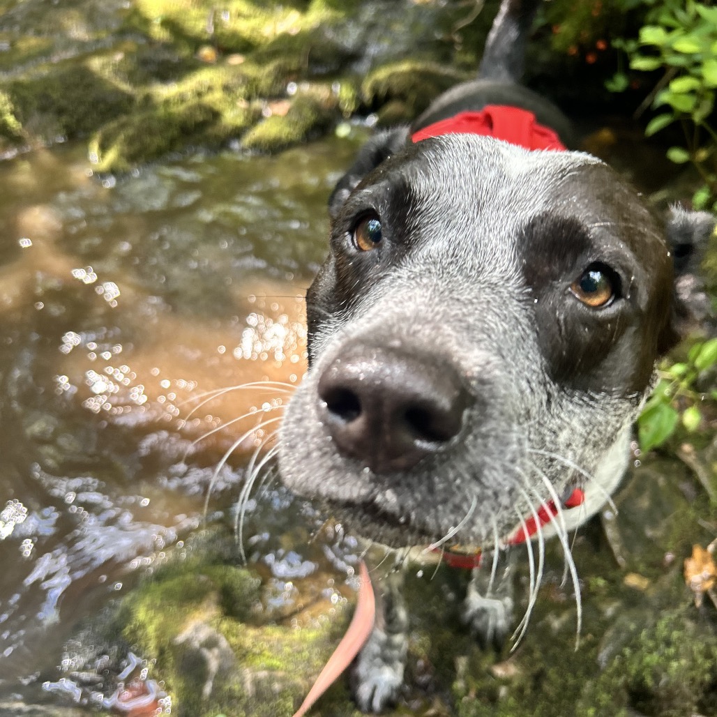 Tracker, photo 15