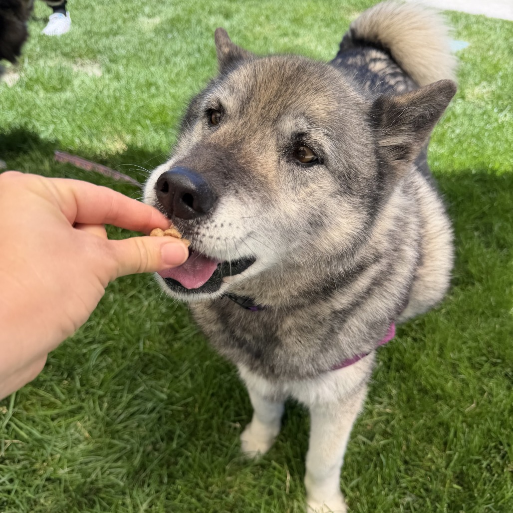 Riley, additional photo