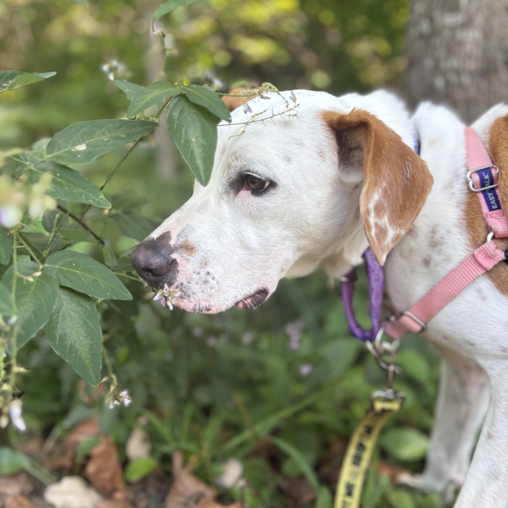 Otis, photo 9