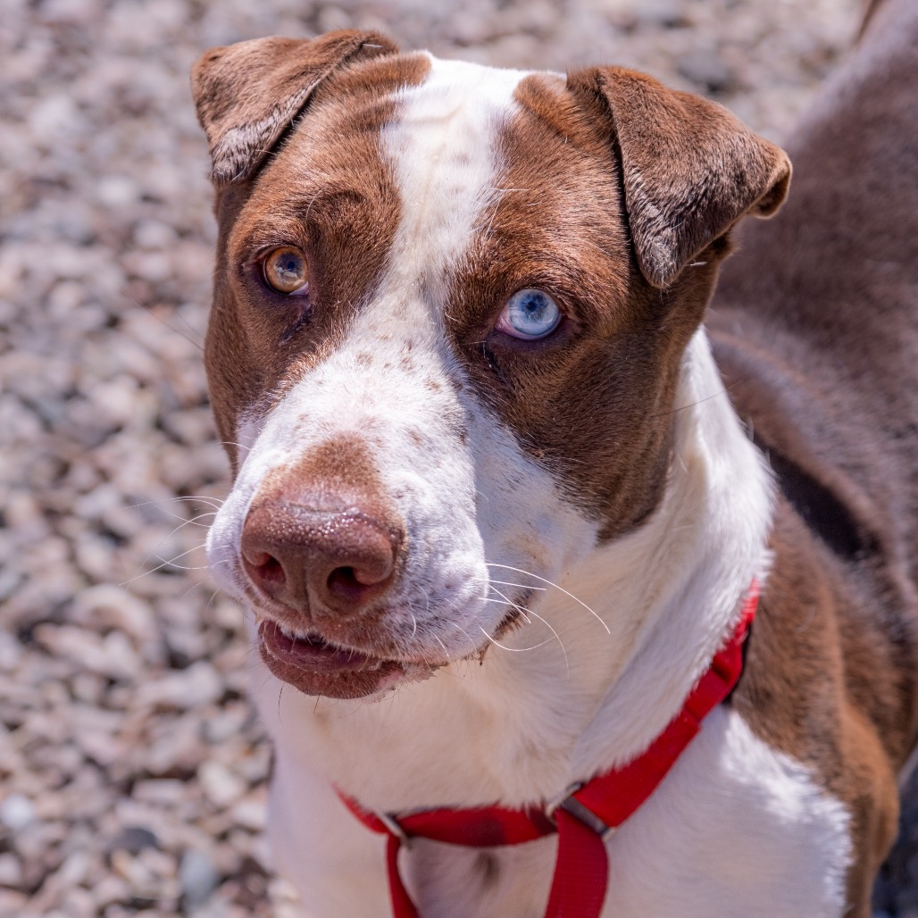 Kyle — thumbnail 4