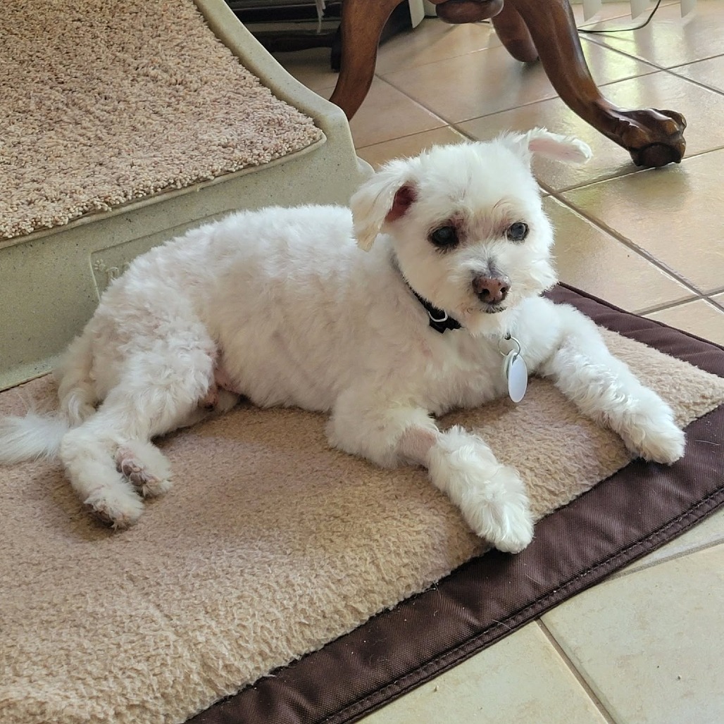 Chalupa, photo 14