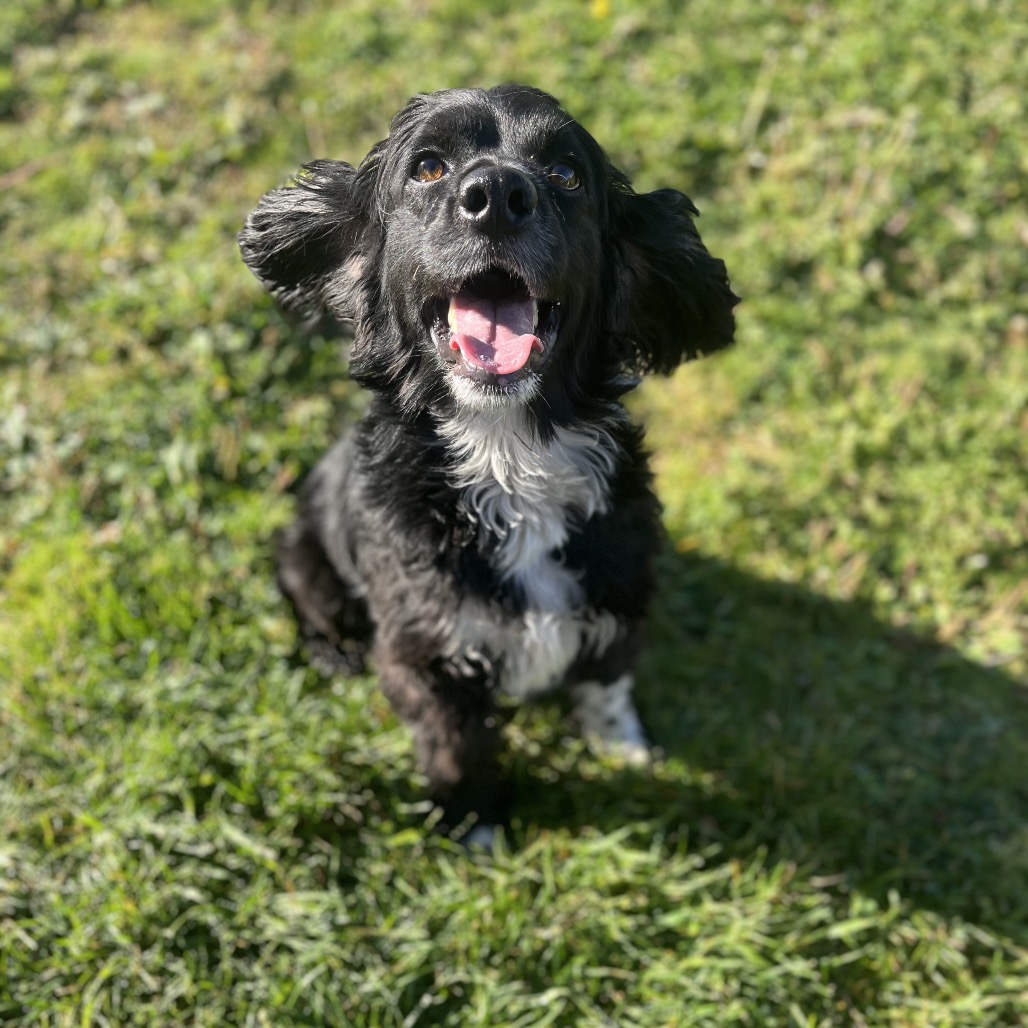 Murphy