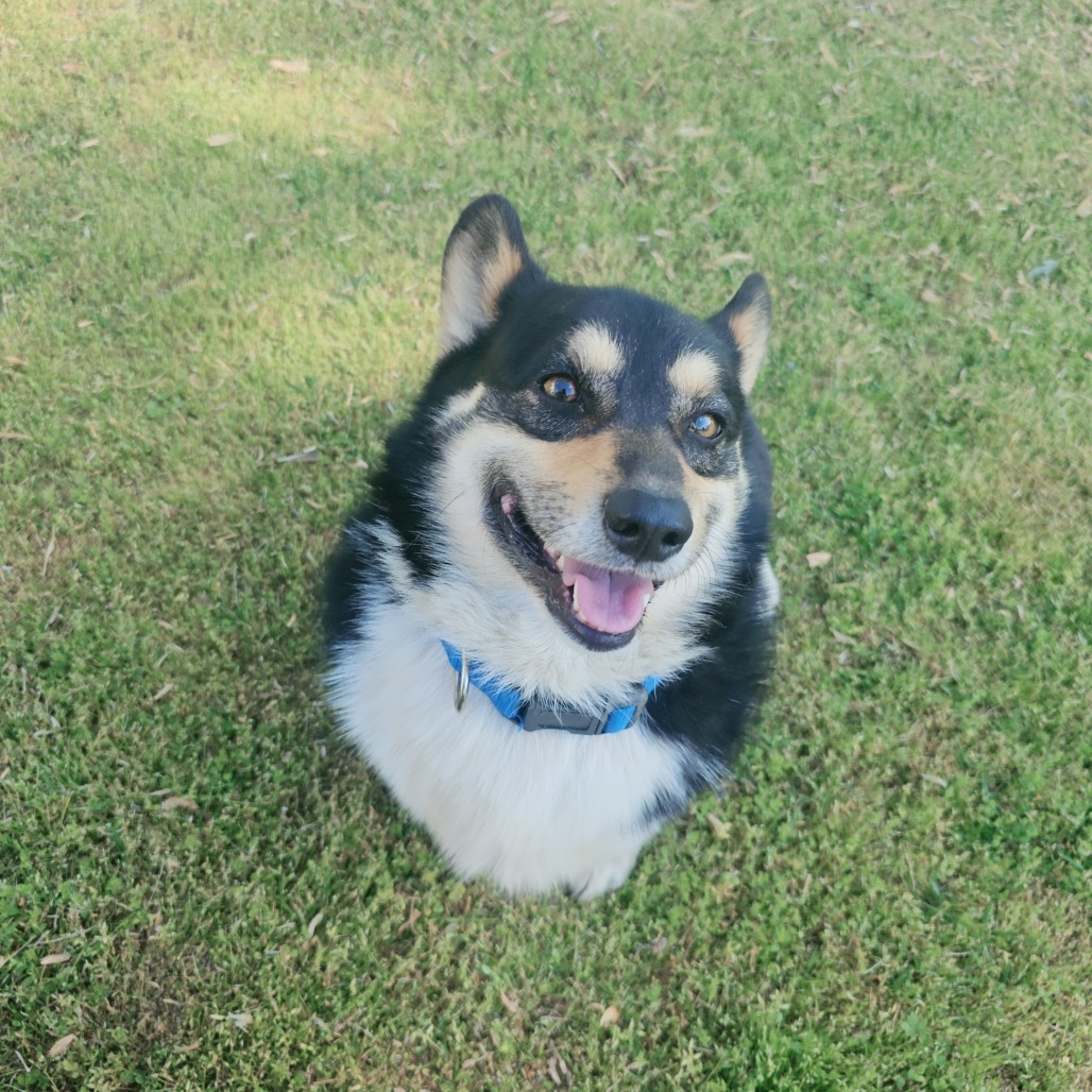 Tannie