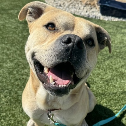 Smudge — thumbnail 8