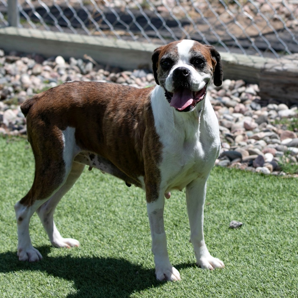 Lil Ruby (JN26-09), photo 6