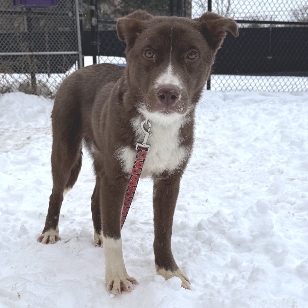 Bristol — thumbnail 7