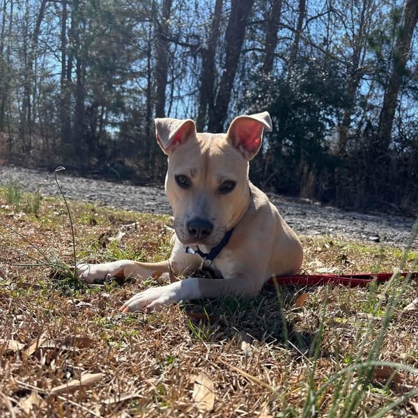 Pippa 01-1426, photo 4