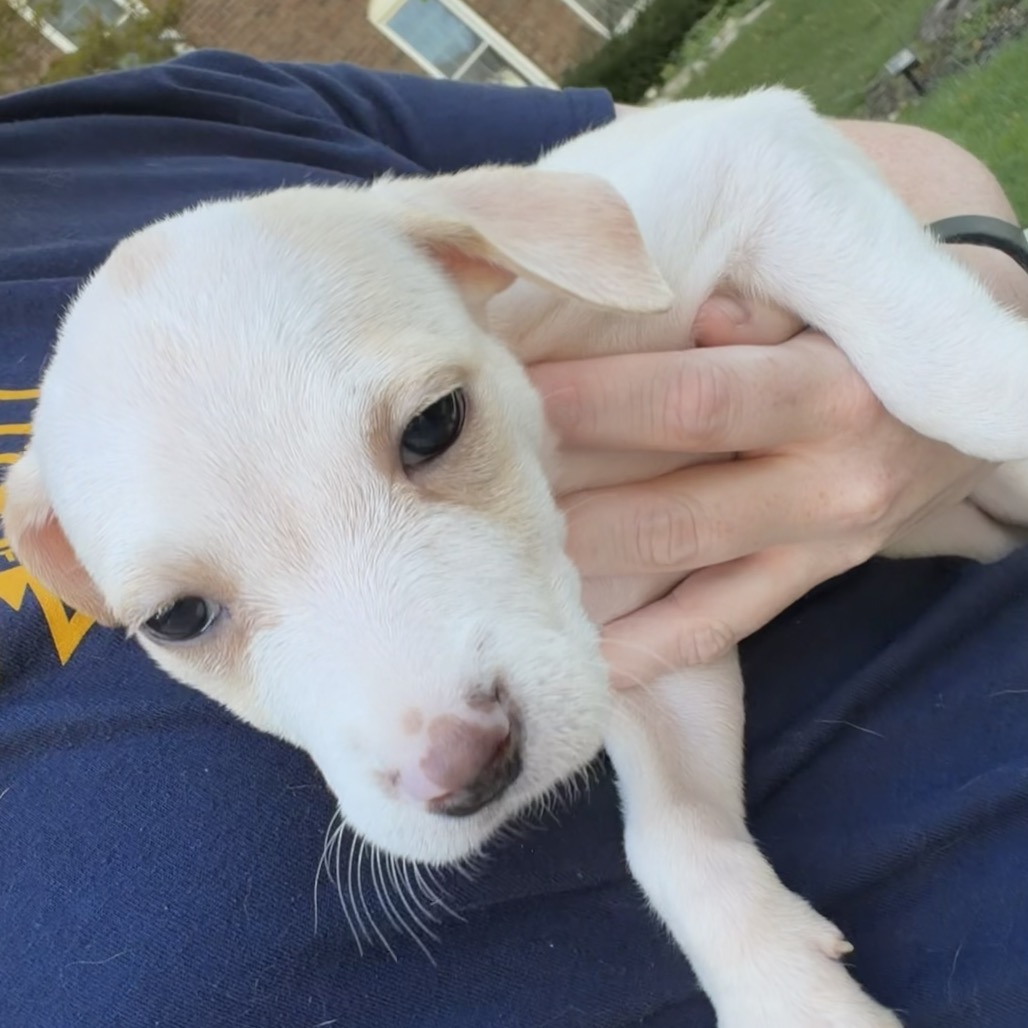 Kima, photo 3