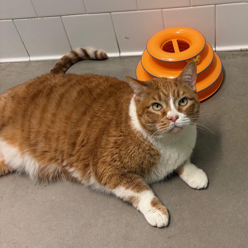 Photo of Freddy and QZ 15