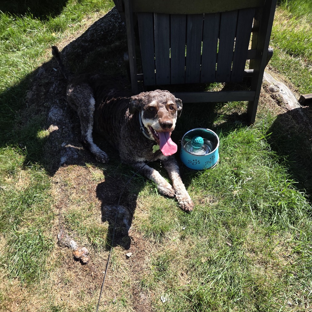 Bruno, photo 2