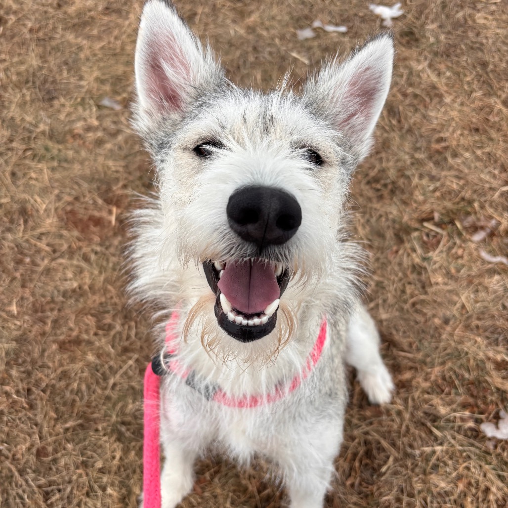 3ac6e354d30034ecd76d098919dc9bc0