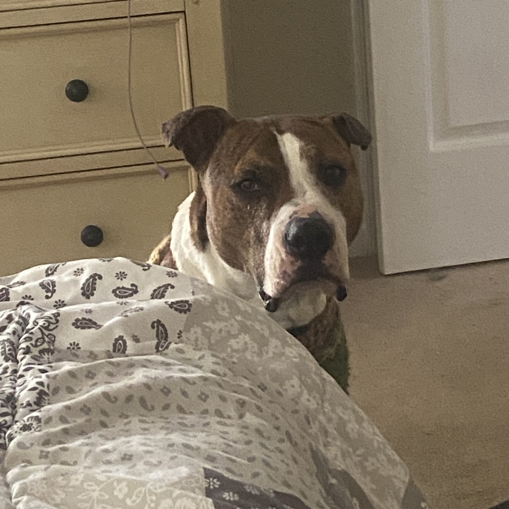 Jax, additional photo