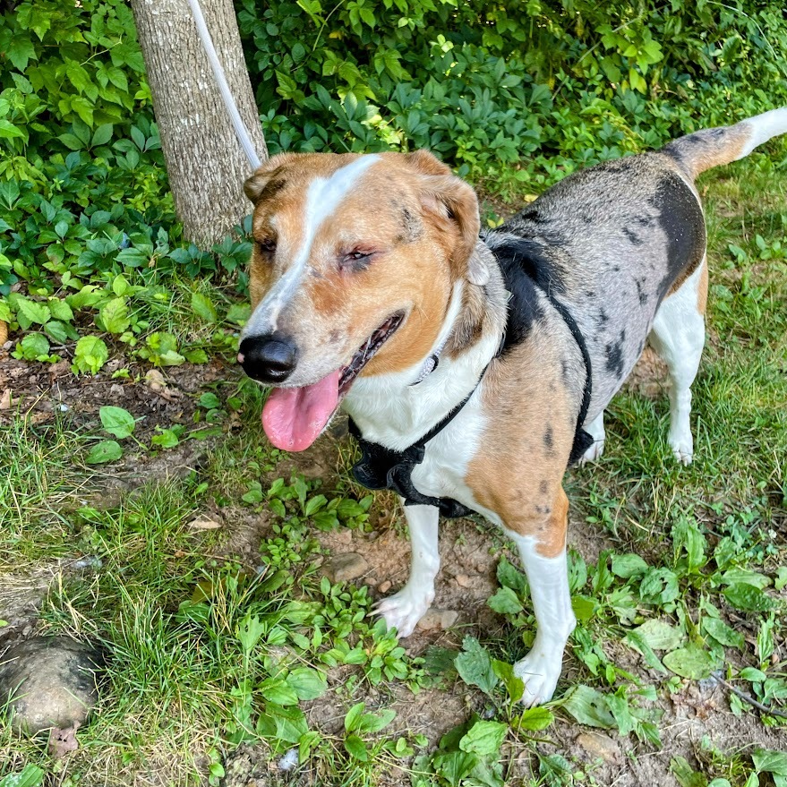 Rachel — thumbnail 3