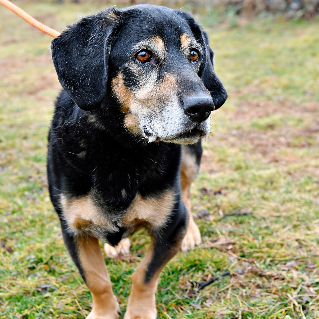 bbdc93b4e822b2f09df48d6a26edec5d