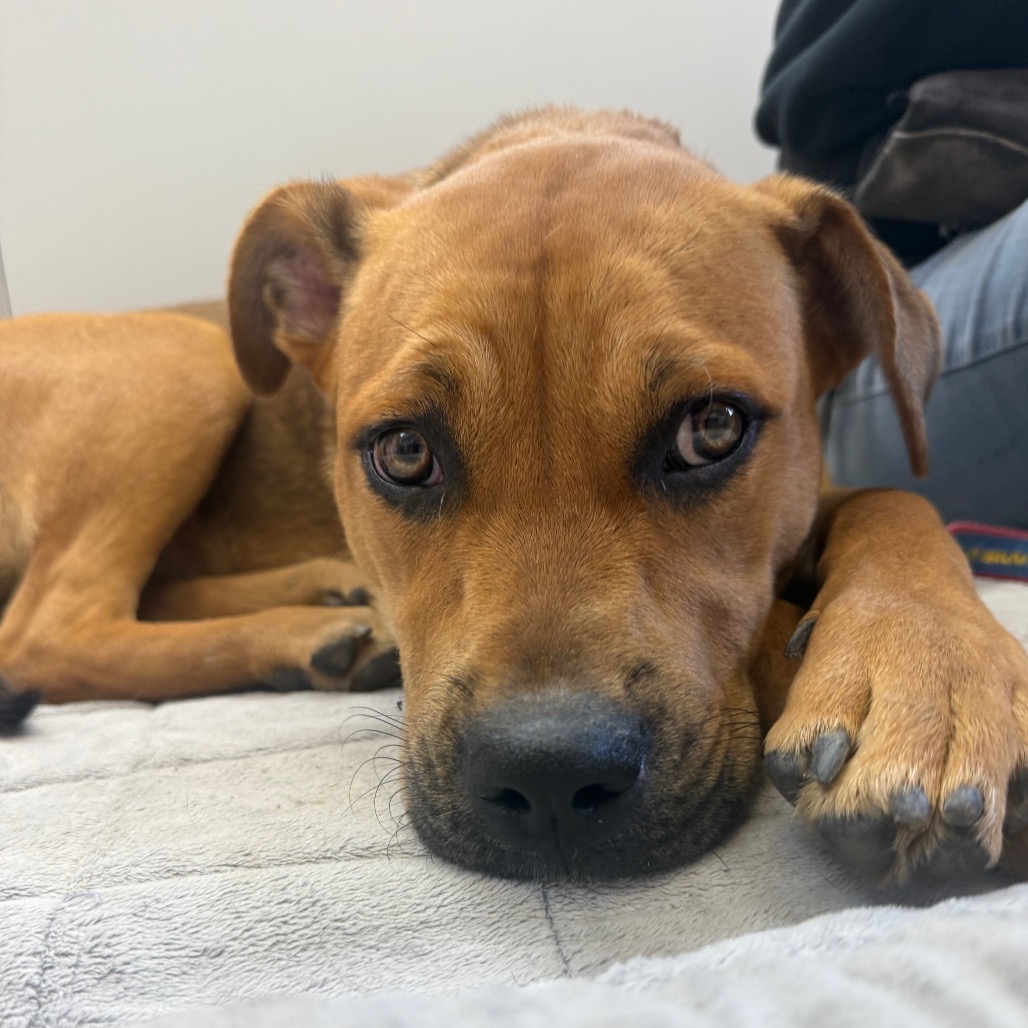 Kali Letty — thumbnail 3