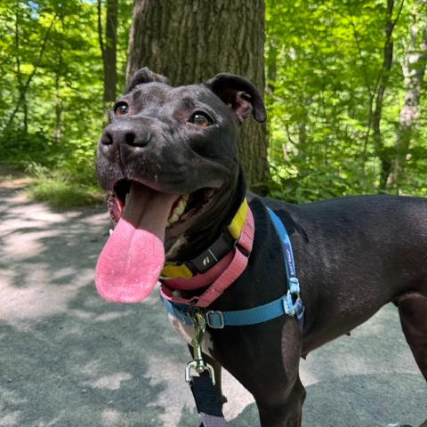 Photo of Marge