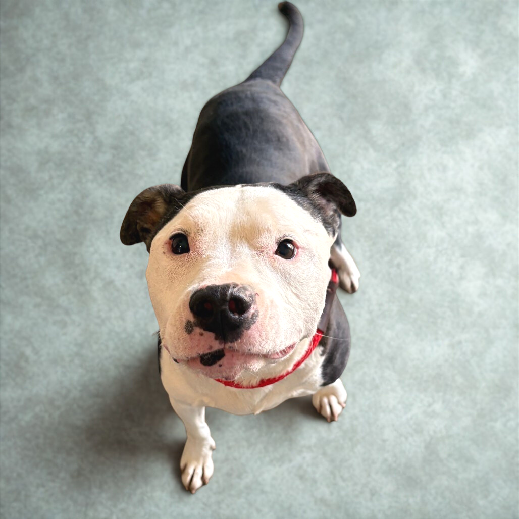 Sallie Mae — thumbnail 6