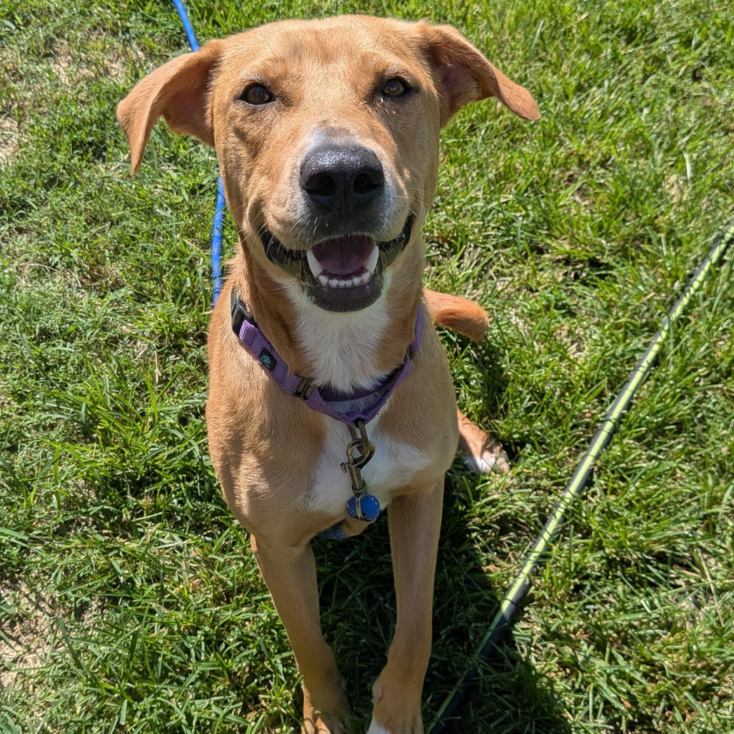 Luna