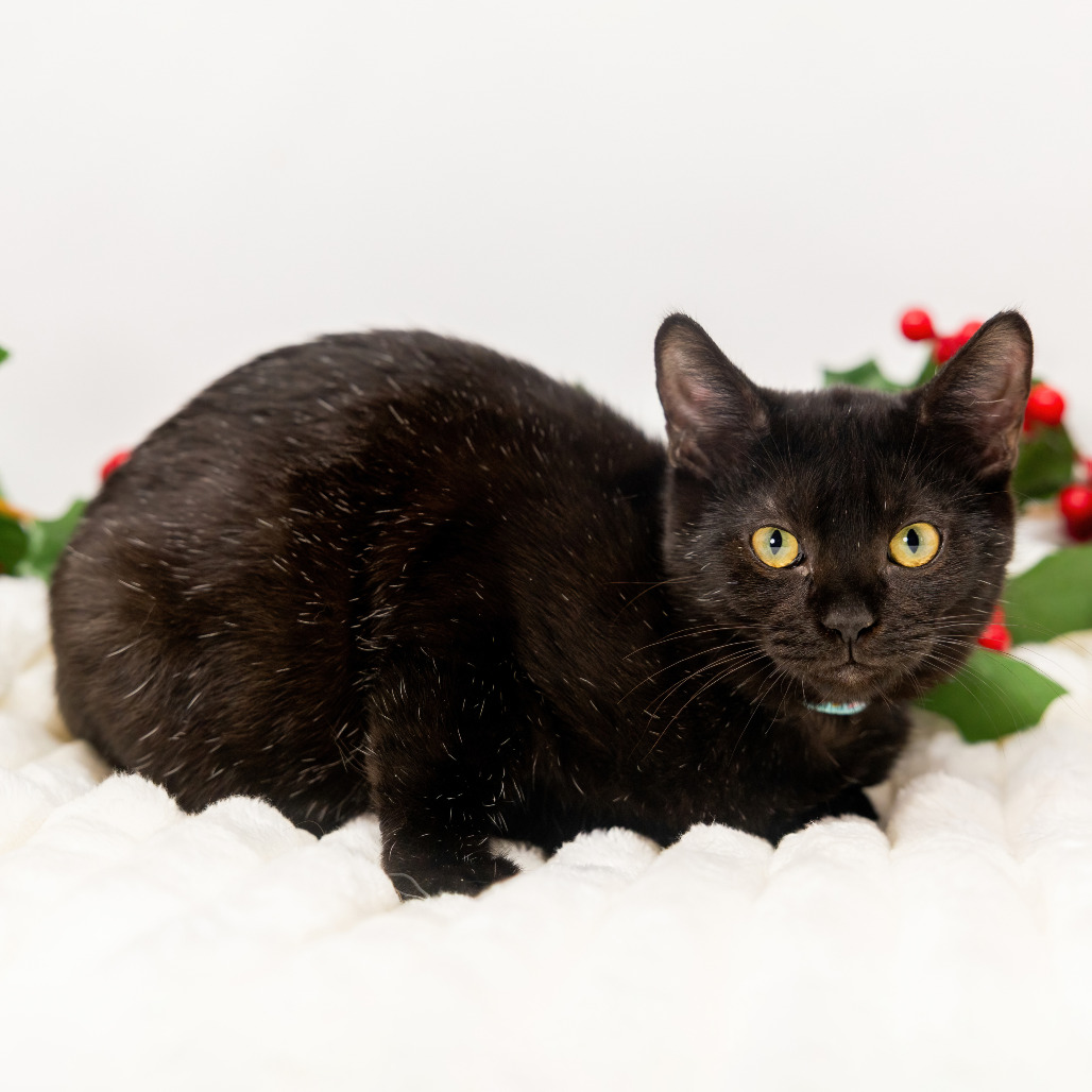 Glitter — thumbnail 5