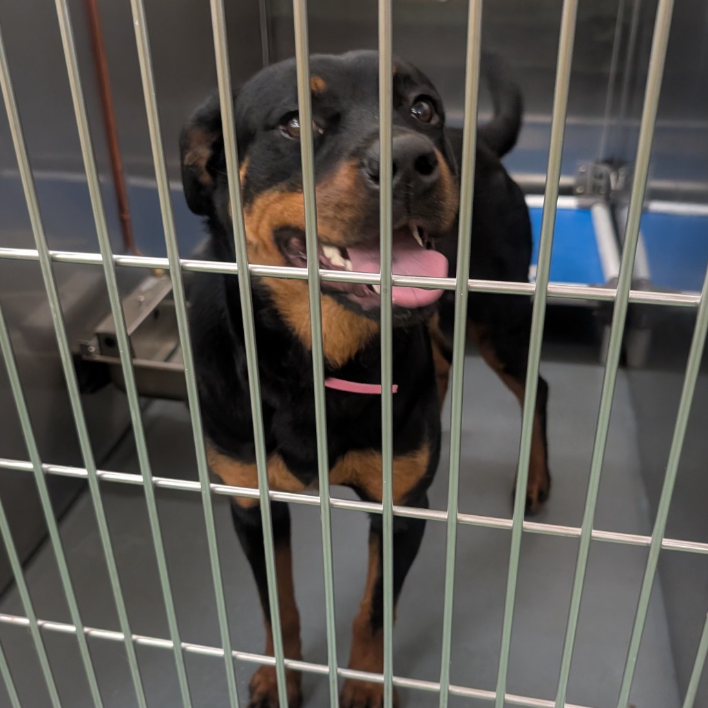 Charity — thumbnail 7