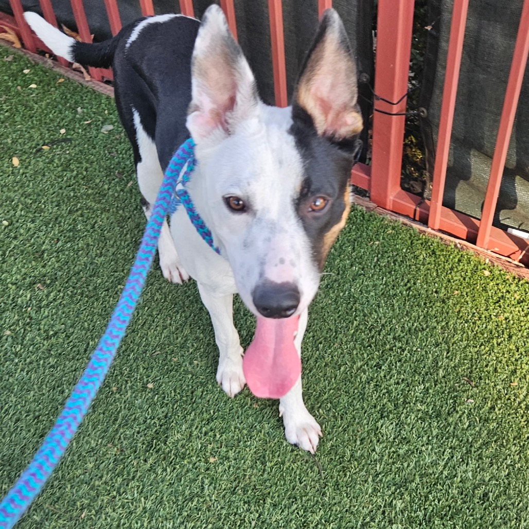 MUNCY, photo 5