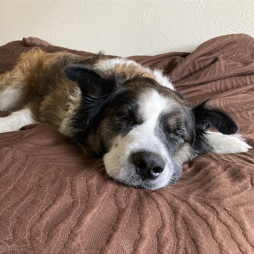 Skip, additional photo