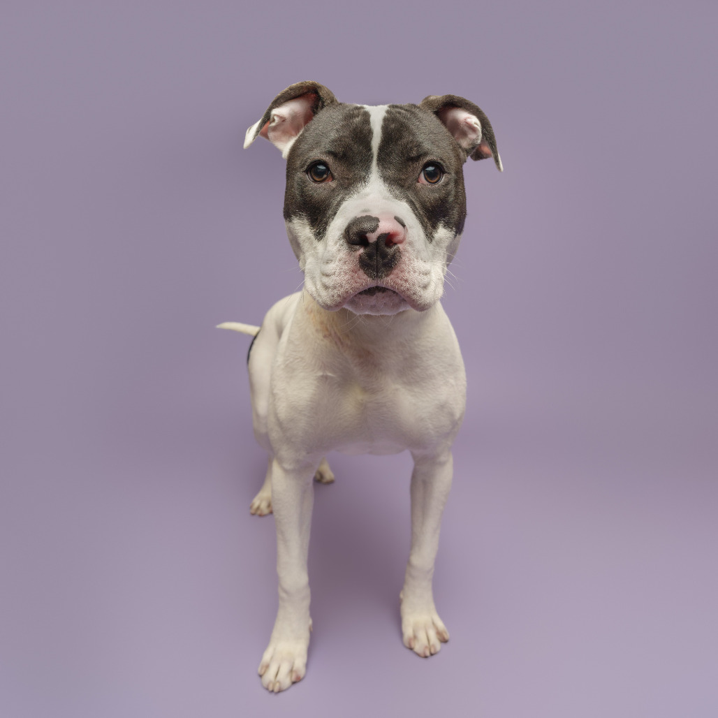 Photo of Sir Ian McKellen 3