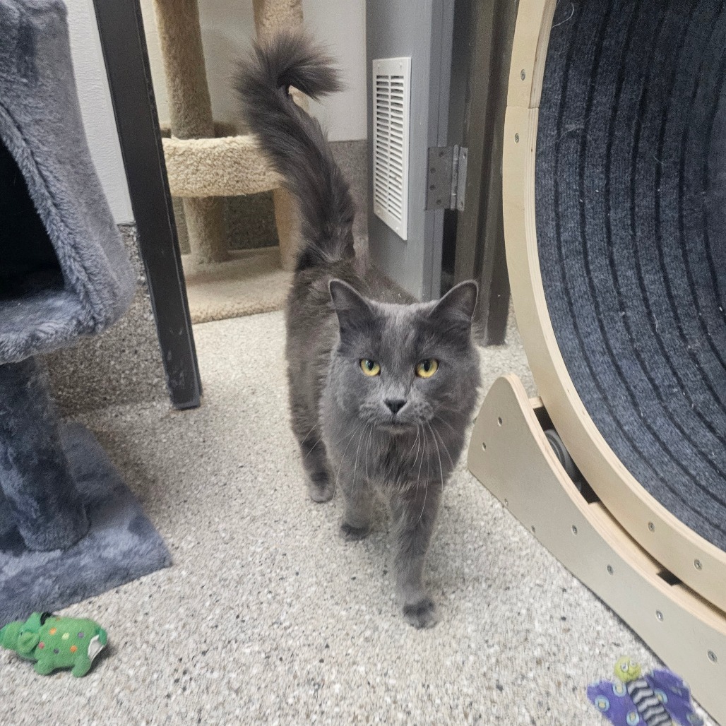 Oona — thumbnail 5