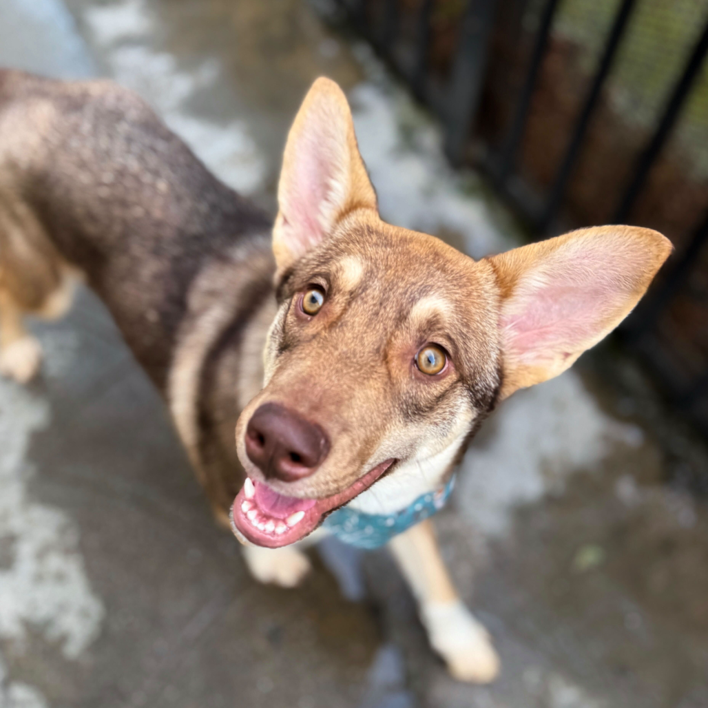 Ricky — thumbnail 2