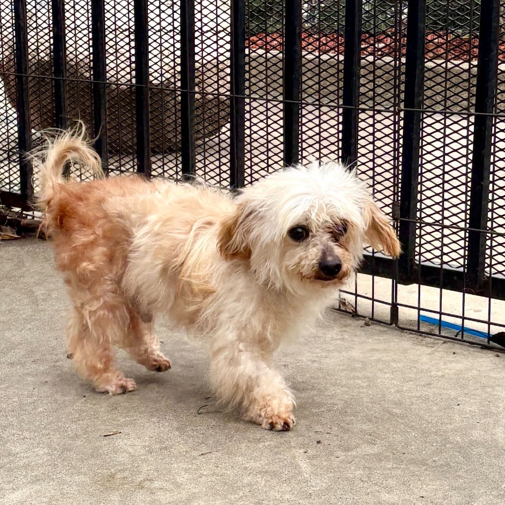 Walter — thumbnail 2